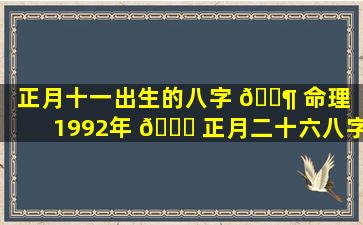 正月十一出生的八字 🐶 命理（1992年 🐞 正月二十六八字命理详解）